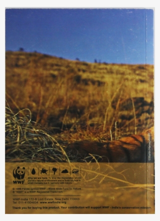 Enlarge - Grass #8796109