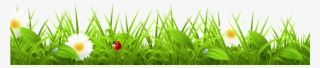 Grass Border Transparent - Fondo De Bosque Animado #8797149