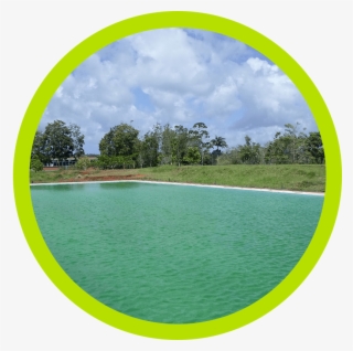 Piscina Verde Circle Border - Stredná Zdravotnícka Škola Nitra #8797545