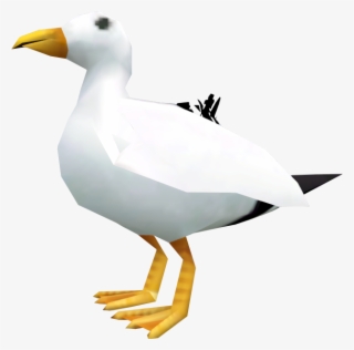 Duck #8798202