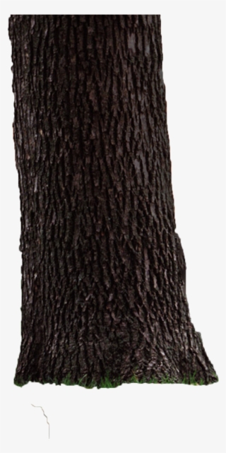 Try Watching This Video On Www - Scarf #8798455