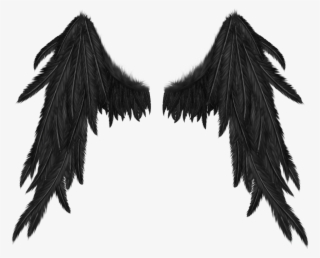 Demon Wings No Background #8798863