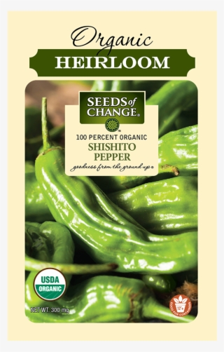 Organic Shishito Pepper Seeds - Seeds Of Change #8799479