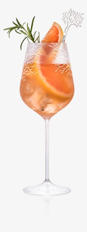 Champagne Cocktail #880016 Champagne Cocktail #880016