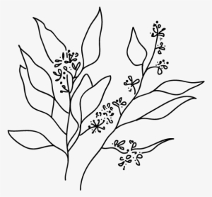 Tumblr Black And White Png #880340