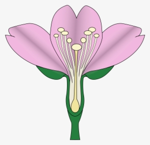 Open - Cherry Blossom Diagram #880976