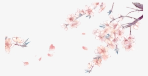 Drawn Cherry Blossom China - Cherry Blossom Flower Anime #881030
