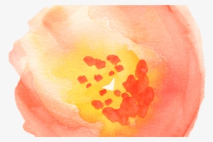 Free Fall Watercolor Floral Clip Art So Pretty Free - Watercolor Clipart Transparent #881241