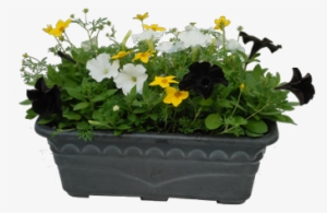 Flower Box #881430