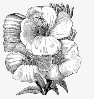 Free Vintage Digital Stamp - Illustration #881675