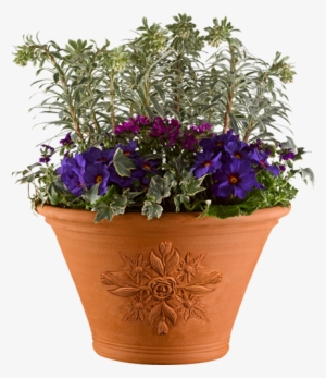 Pot With Flowers Png #881859