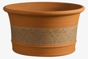 Rhs Daisy Planter - Coffee Table #881904 Rhs Daisy Planter - Coffee Table #881904