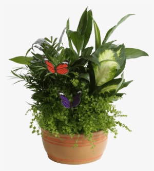 Horizon Planter, 8" Caramel - Flowerpot #882022