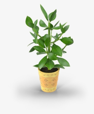 23 Pm 46086 Arbol38 Raster 8/20/2017 - Flowerpot #882050