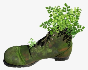 Boot, Old, Mossy, Planter, Fern, Garden, Novelty - Plants #882121