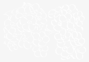 White Outline Flowers Svg Clip Arts 600 X 419 Px #882123