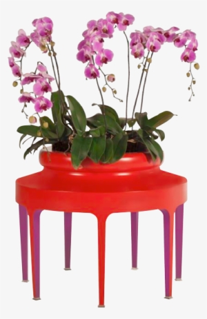 Jarchidee Planter Orchidee Jardiniere - Elle Decoration #882452