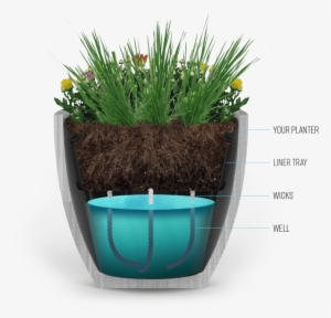 Our Liner Will Convert An Old Fashioned Planter Into - Flowerpot #882527