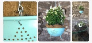 Plants #882573