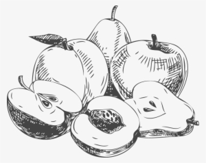 Personal Favorites That Can Help You Live Your Best - Fruits Sketch Png #882824