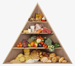 Food Pyramid Png - Food Pyramid Without Words #882873