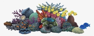 Coral Png Banner Library Stock - Coral Reef Clipart Png #883335