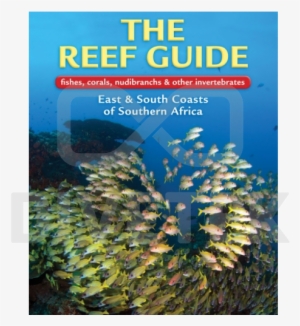 The Reef Guide - Reef Guide #883498