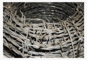 Barbed Wire #883682 Barbed Wire #883682