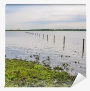 Flooded Grassland With A Barbed Wire Fence Wall Mural - Fence #883779 Flooded Grassland With A Barbed Wire Fence Wall Mural - Fence #883779