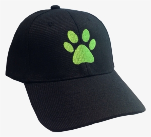 Cat Noir Embroidered Cap - Adrien Agreste #884825