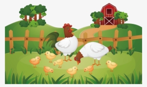 Animal Farm Chicken Rooster Poultry Farming - Chicken Farm Illustration #886854