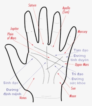 Bói Chỉ Tay, Bói Đường Chỉ Tay - Palm Reading Guide #887271