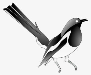This Free Icons Png Design Of Oriental Magpie Robin #888918