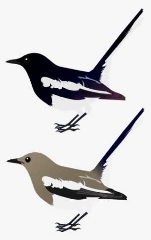 Oriental Magpie Robin - Oriental Magpie Robin Logo #889160