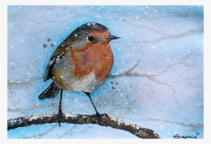 European Robin #889245