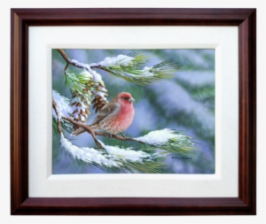 Winter Perch - House Finch - Original Artwork - Ptaki Zima Na Pulpit #889410