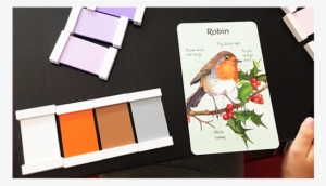 For Home & Classroom - European Robin #889655