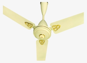 Canon Ivory Fan - Fan #889790