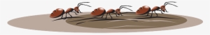 Cartoon, Walking, Insects, Travel, Dirt, Ants - Pharaoh Ant #889996