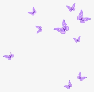 Mq Sticker - Pink Butterflies Png #8800327