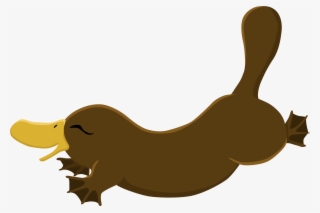 Fabric/ Surface Design With A Platypus #8801358