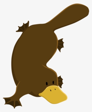 Fabric/ Surface Design With A Platypus - Cartoon #8801602