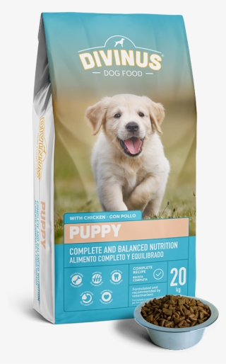 Dog - Puppy - Divinus Karma #8803454