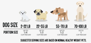 Slim'dog Portion Picker - Companion Dog #8804239