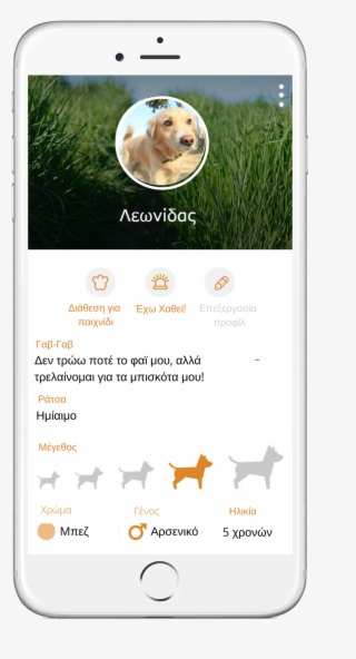 Now You Can Find At Any Any Time Your Furriend's Position - Labrador Retriever #8804277