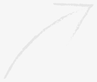 Türk Hava Yolları - Chain #8804537