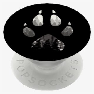 Wolf In The Woods, - Circle #8807651