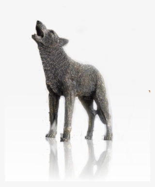 Wolf Big - Sheep #8807738