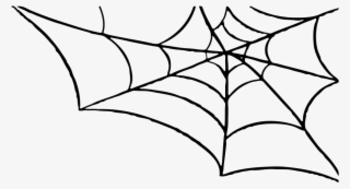 Spider Web With Transparent Background #8809213