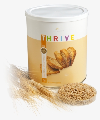 Trigo Duro Blanco De Invierno - Einkorn Wheat #8809342